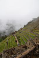 Terrassen Machu Picchu