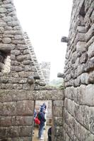 Die Nasen dienen der Dachbefestigung