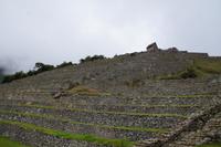 Terrassen Machu Picchu
