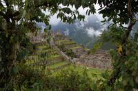 grüner Bilderrahmen Machu Picchu