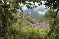 grüner Bilderrahmen Machu Picchu