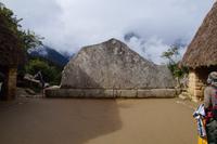 Meerschweinchenstein