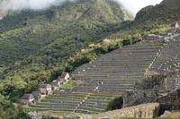 Terrassen Machu Picchu