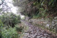Inka Trail