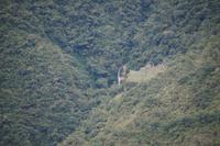 Wiñayhuayna visto desde más alla de Inti Punku (Wiñayhuayna, gesehen von einem Punkt jenseits des Sonnentors). 