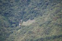 Wiñayhuayna visto desde más alla de Inti Punku (Wiñayhuayna, gesehen von einem Punkt jenseits des Sonnentors). 
