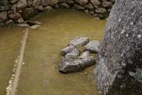 Spolien (hier Steine, die zu Befestigung der Dachkonstruktionen ins Mauerwerk eingebaut wurden