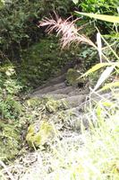 Treppe von Machu Picchu nach Aguas Calientes