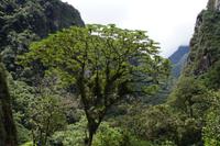 Nahe Aguas Calientes 