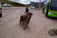 Die Kleine ist acht, geht gerne zur Schule, hat aber heute „frei“ (es ist Samstag)