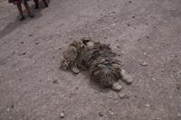 Mein Freund vom Oktober