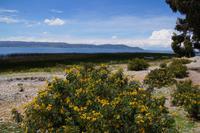 Auf der Halbinsel Luquina 