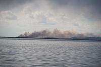 Uros brennen das Totora ab, um sein Wachstum anzuregen