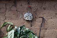 Medizin gegen Rückenschmerzen. Ob die Schlangen etwas bringen (außer Placebo)? 