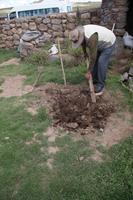 Deshalb braucht man die Schlangenmedizin: Wenn man ein ganzes Feld so beackert, wie diesen Quadratmeter