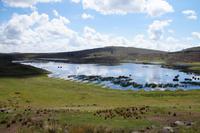 Lagune bei Sillustani 