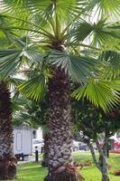 Stadtbesichtigung Lima