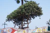 Stadtbesichtigung Lima