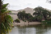 Oase Huacachina