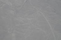 Flug über die Nazca Linien