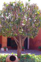 Arequipa - Kloster Santa Catalina