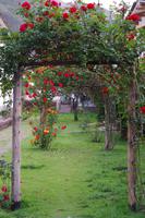 Andahuaylillas - St. Peter Kirche