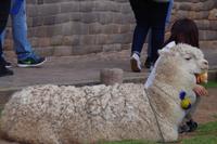 Cusco