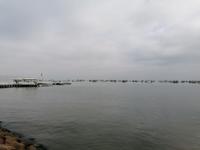 Bootstour Ballestas Inseln