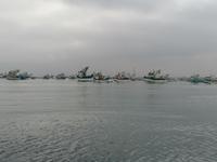 Bootstour Ballestas Inseln