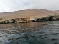Bootstour Ballestas Inseln