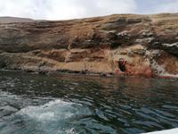 Bootstour Ballestas Inseln