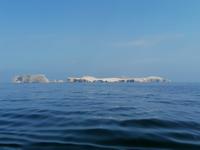 Bootstour Ballestas Inseln