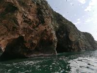 Bootstour Ballestas Inseln