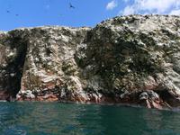 Bootstour Ballestas Inseln