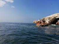 Bootstour Ballestas Inseln