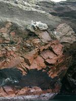 Bootstour Ballestas Inseln