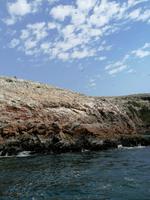 Bootstour Ballestas Inseln