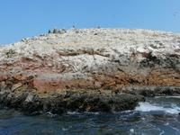 Bootstour Ballestas Inseln