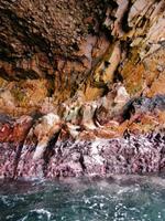 Bootstour Ballestas Inseln