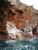 Bootstour Ballestas Inseln