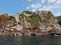 Bootstour Ballestas Inseln