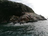 Bootstour Ballestas Inseln