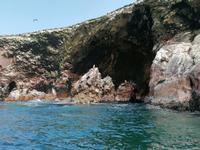Bootstour Ballestas Inseln