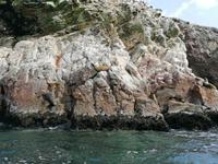 Bootstour Ballestas Inseln
