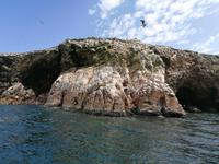 Bootstour Ballestas Inseln