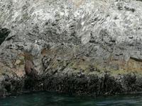 Bootstour Ballestas Inseln