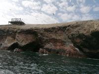 Bootstour Ballestas Inseln