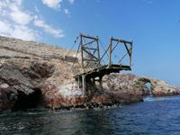 Bootstour Ballestas Inseln