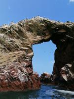 Bootstour Ballestas Inseln