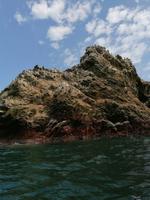 Bootstour Ballestas Inseln